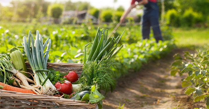 Product image placeholder 6